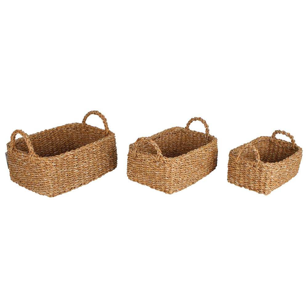 Maine & Crawford Bondi 20/23/27cm Seagrass Rectangle Kitchen Basket Storage (3 Pieces)