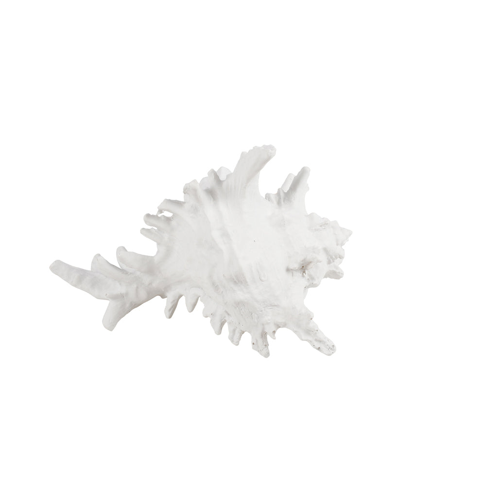 Maine & Crawford 7 Seas Resin 19cm Coral Ornament Home Room Tabletop Decor White