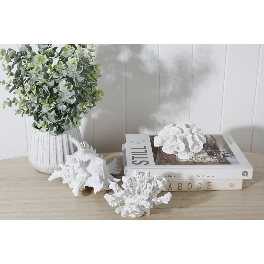 Maine & Crawford 7 Seas Resin 19cm Coral Ornament Home Room Tabletop Decor White — image 2