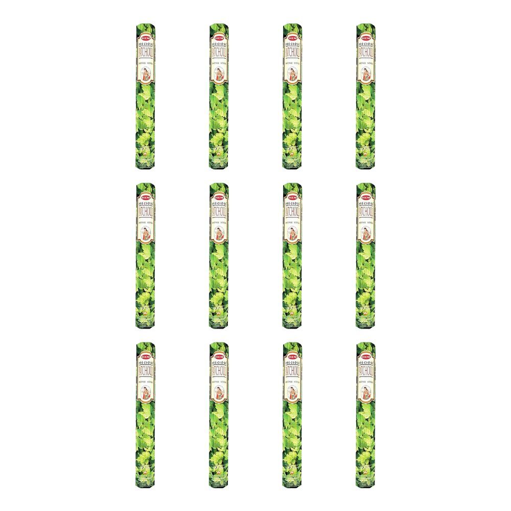 Hem 20pc HEM Hexa Precious Patchouli Scent Incense Sticks Meditation Fragrance (12 Pack)