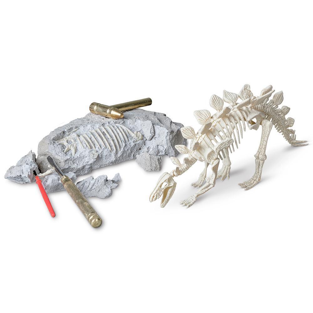 Heebie Jeebies Paleontology Kit Kids Science Toy Stegosaurus Fossil Set 5+ — image 2