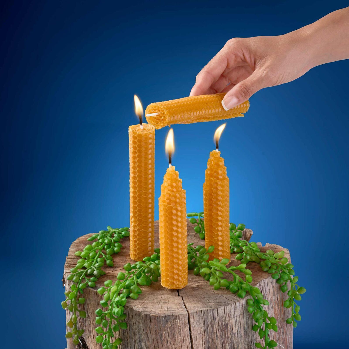 Heebie Jeebies Make Your Own Beeswax Candles DIY Candle Making Craft Kit 8y+ (2 Pack) — image 5