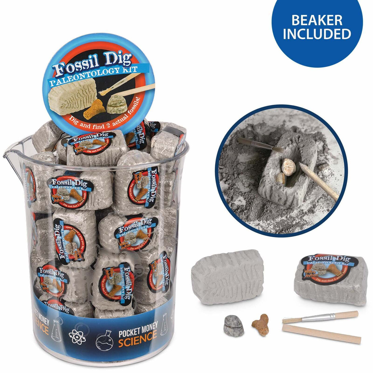 Heebie Jeebies Pocket Money Science Fossil Dig Mini Paleo Kit Kids Toy Assort (6 Pack) — image 2