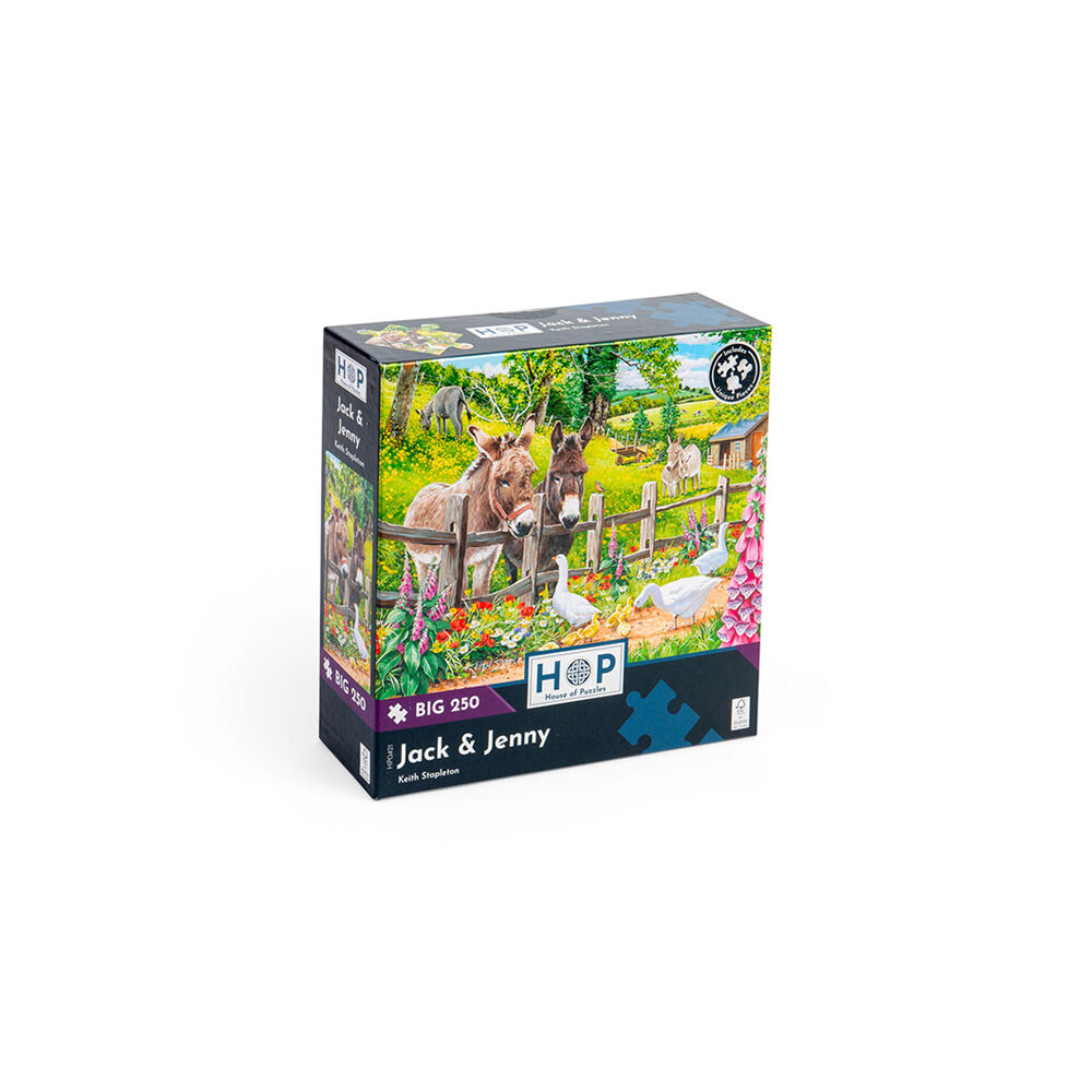 House of Puzzles Board Jack & Jenny Kids Jigsaw Puzzles Toys 48x34cm 3y+ (250 Pieces)