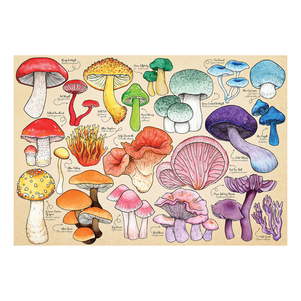 House of Puzzles Mushroom Mania 48x69cm Jigsaw Puzzle Kids/Family 3y+ (1000 Pieces) — image 3