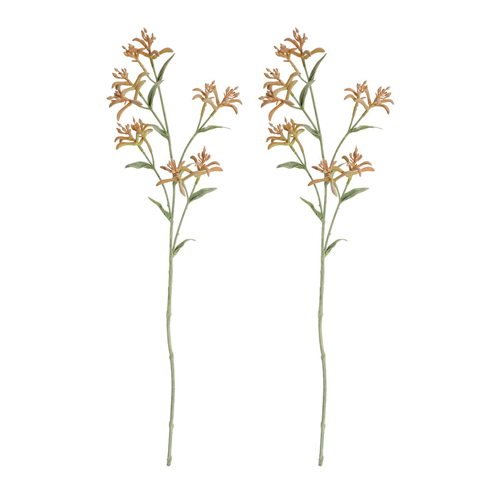 LVD Stemmed 78cm Kangaroo Paw Artificial/Fake Home Decorative Faux Flower Plant (2 Pack)