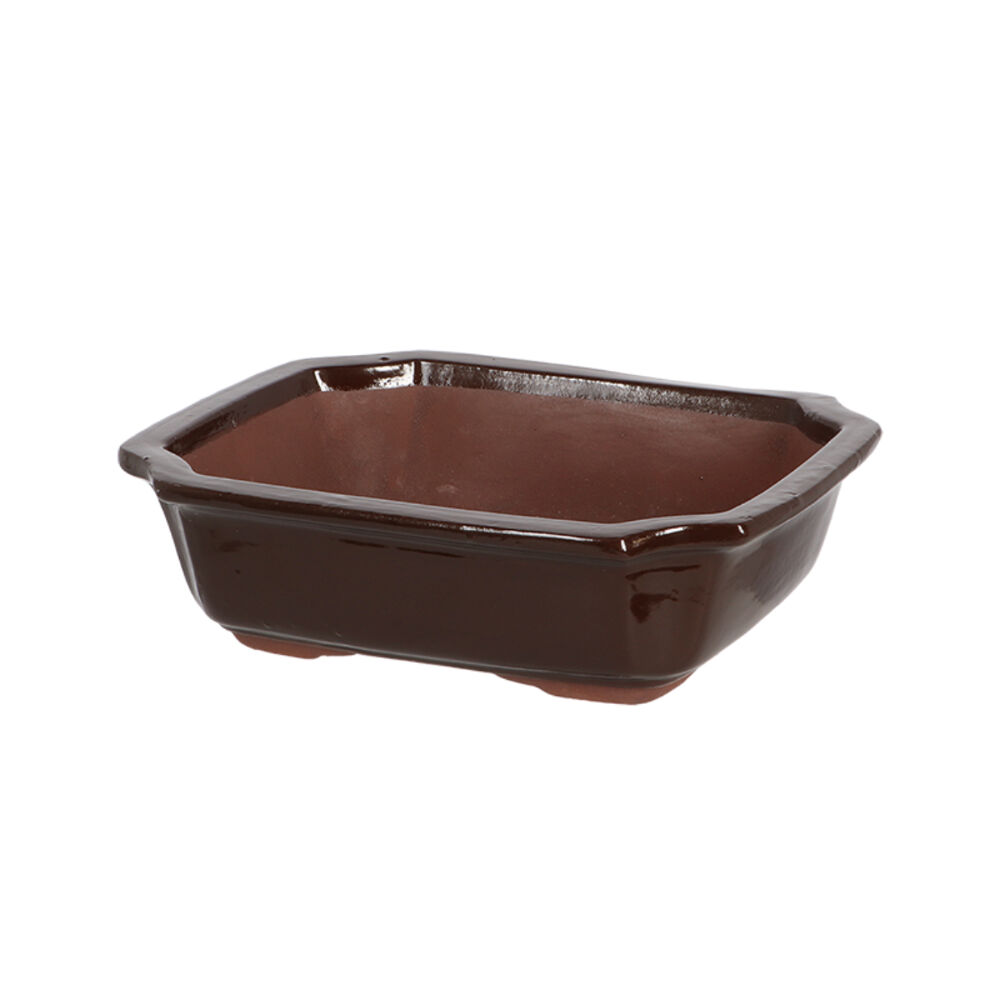 Esschert Design Medium Brown Gardening Accessory Rectangular Bonsai Pot
