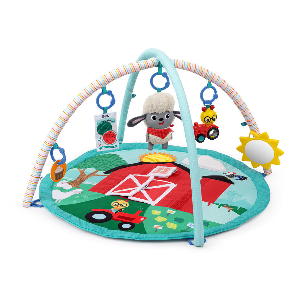 Baby Einstein 0m+ Farm Explorers Happy Harvest Touch & Feel Newborn Activity Gym