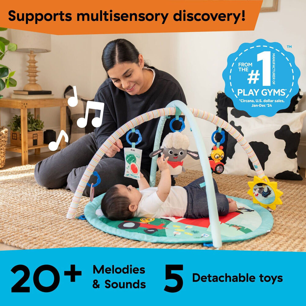 Baby Einstein 0m+ Farm Explorers Happy Harvest Touch & Feel Newborn Activity Gym — image 4