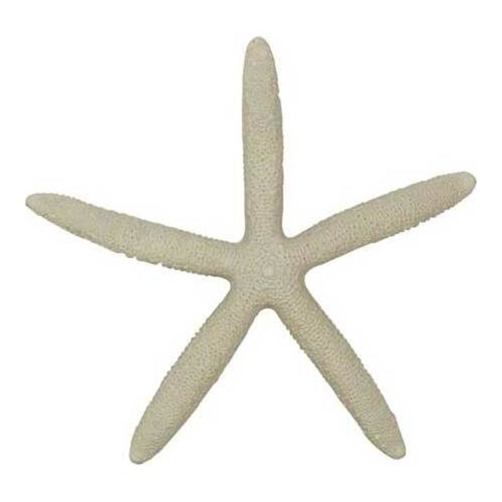 LVD Decorative Resin 13cm Starfish Sculpture Figurine Display Tabletop Decor Cream