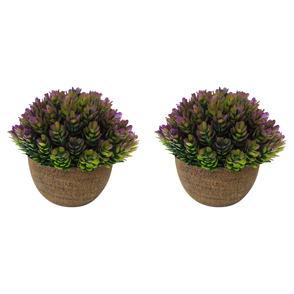 LVD Potted 11cm Formal Moss Artificial Faux/Fake Plant Small - Purple (2 Pack)