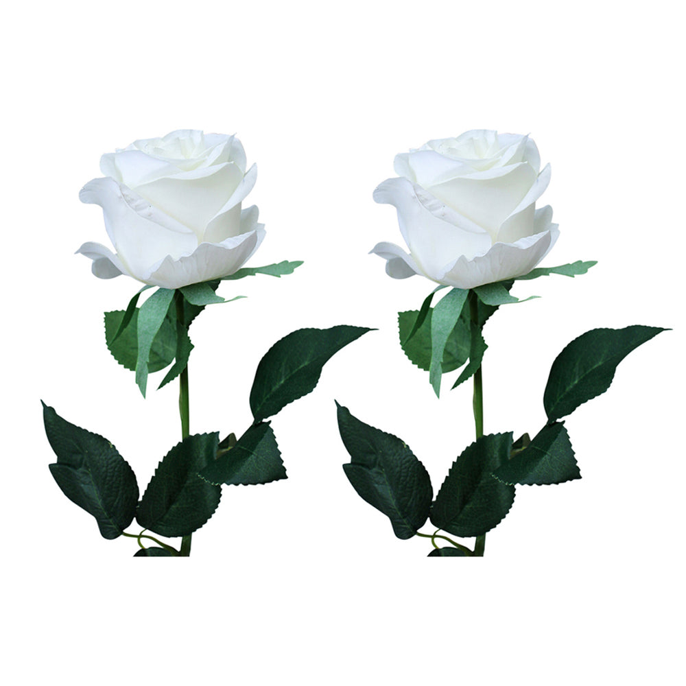 LVD Plastic Long 73cm Stem Rose Artificial Flower Decor - White (2 Pack)