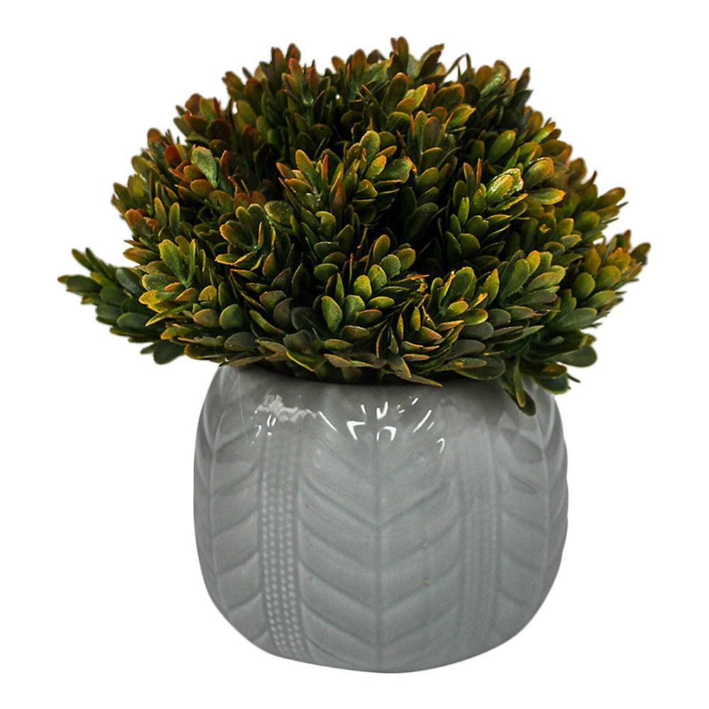 LVD Potted 17cm Formal Moss Small Artificial Faux Plant Home Garden Decor Red (2 Pack)