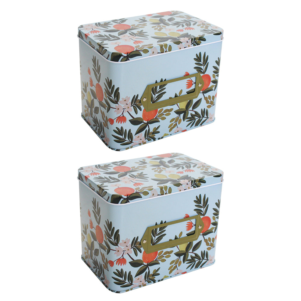 LVD Citrus 16cm Metal Tin Home/Kitchen Decorative Canister Storage Organiser Box (2 Pack)