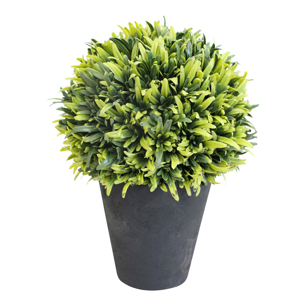 LVD Potted 21cm French Moss Artificial Faux/Fake Plant Home Room Garden Decor Green
