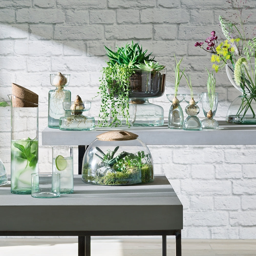 Lsa International 16.5cm Canopy Closed Garden Glass Planter Home Decor Clear — image 3