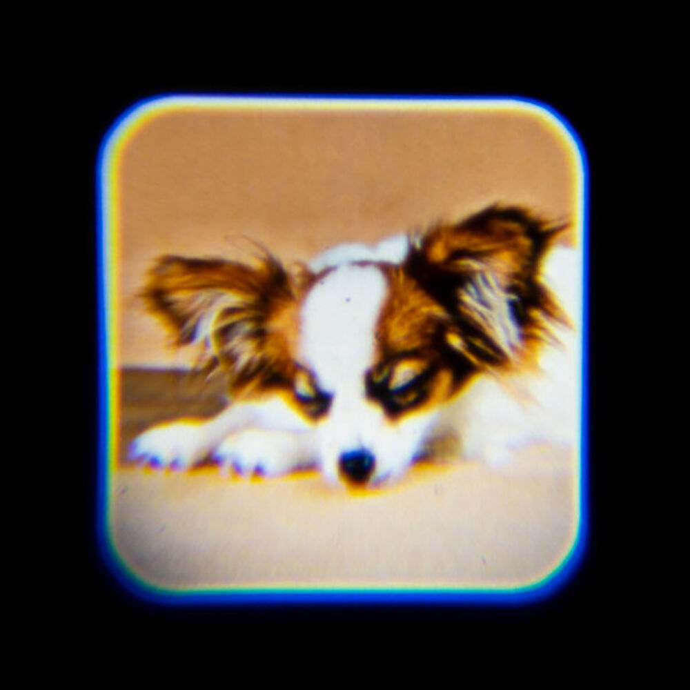 Furever Pets Dogs Torch Projector Educational Kids/Children Play Toy 5y+ — image 2