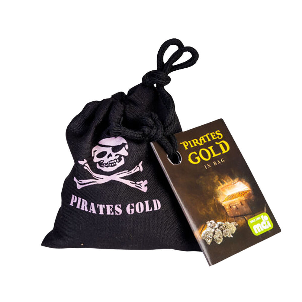 Mdi Pirates Gold in Bag Treasure Children/Kids Party Favours Games Toys (12 Pack) — image 2