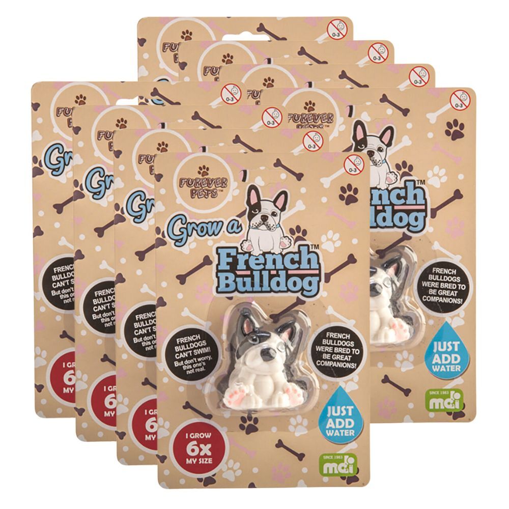 Mdi Grow a French Bulldog Kids/Children Activity Fun Play Interactive Toy (8 Pack)