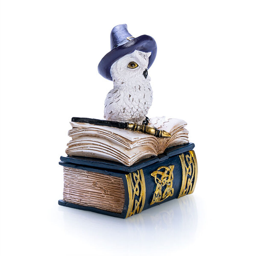 Mystical Worlds Figurine Ornament Snowy Owl Book Trinket Box Home Decor — image 3