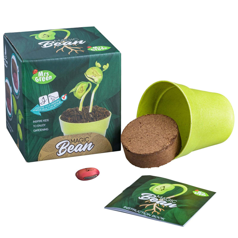 MRS Green Magic Beans Growing Plant Kids/Children Science Educational Toy Assort