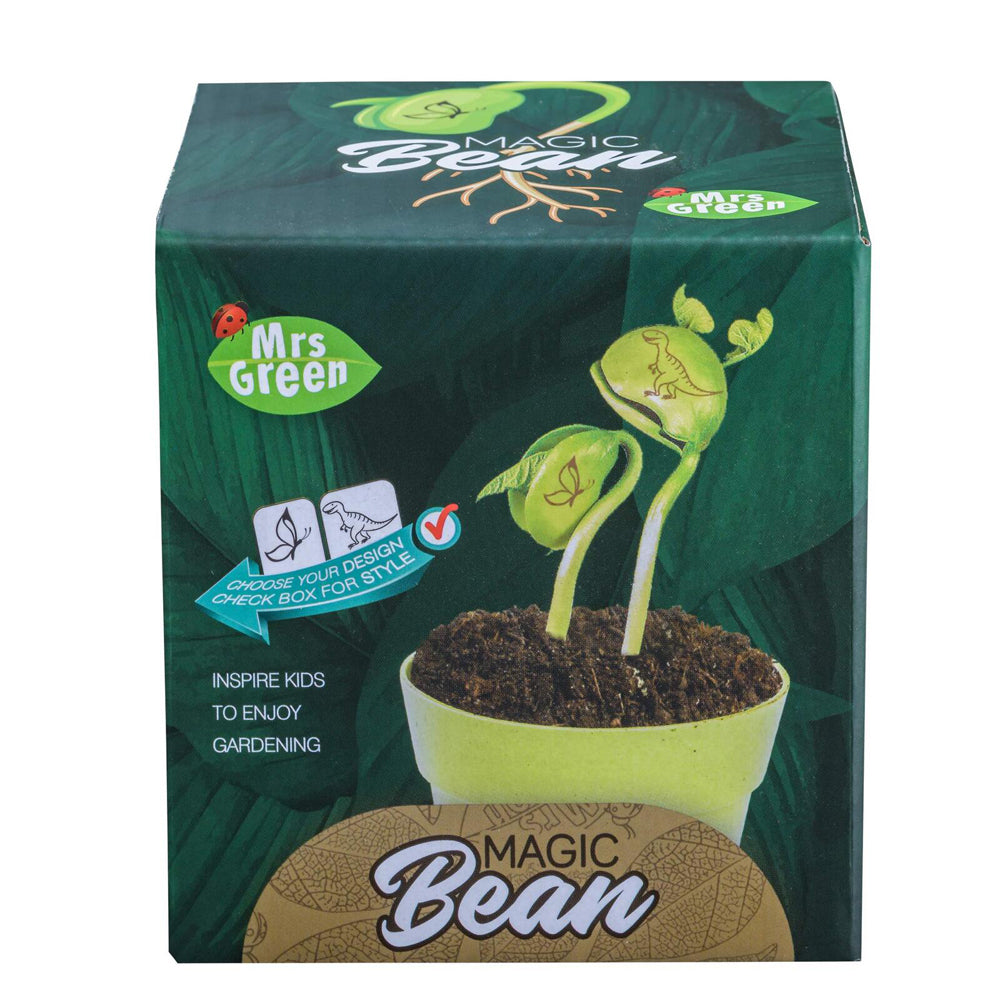 MRS Green Magic Beans Growing Plant Kids/Children Science Educational Toy Assort — image 3