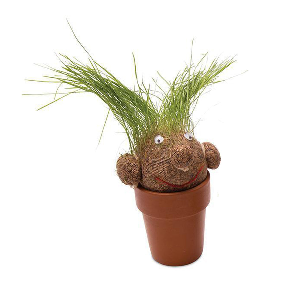 MRS Green Pot Head Kids/Children Grass Growing Plant Doll Planter Fun Activity