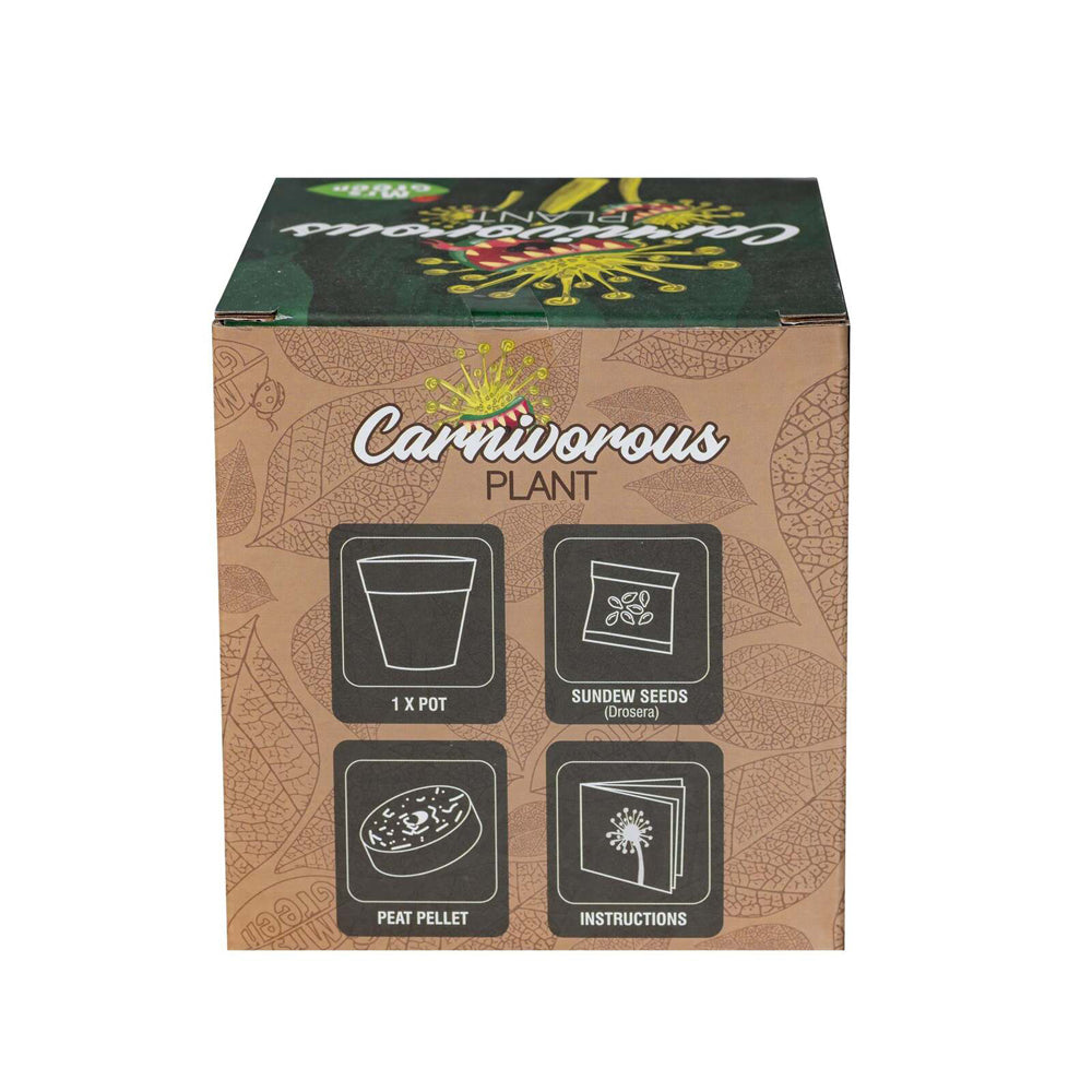 MRS Green Grow Your Own Carnivorous Plant Kids/Children Activity Growing Kit — image 5