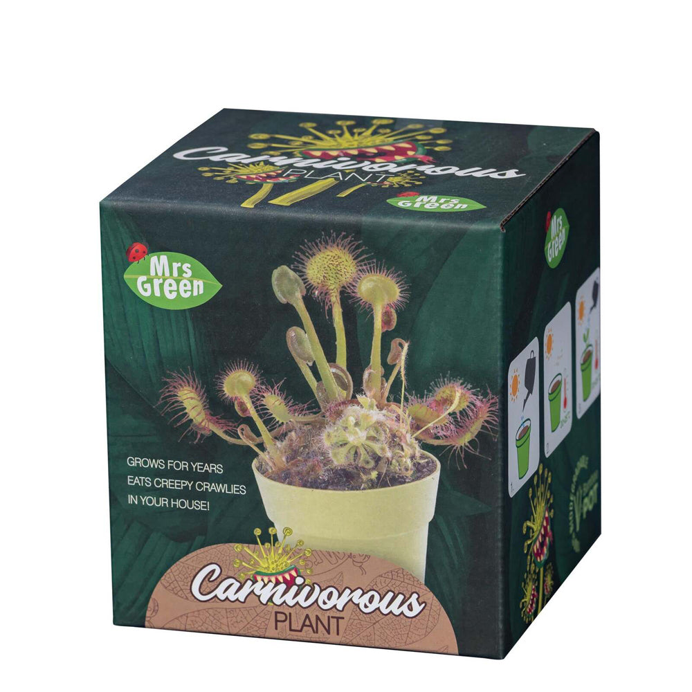 MRS Green Grow Your Own Carnivorous Plant Kids/Children Activity Growing Kit — image 3