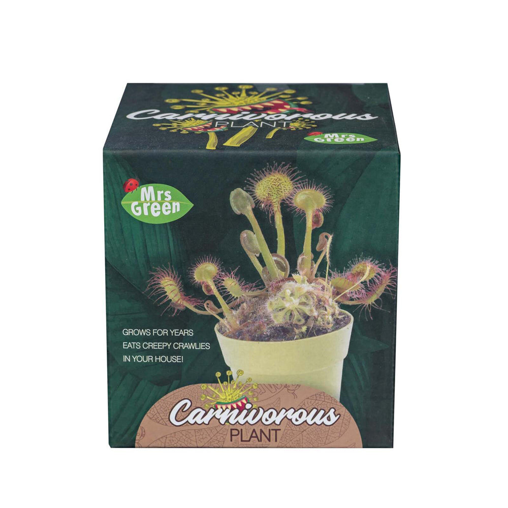 MRS Green Grow Your Own Carnivorous Plant Kids/Children Activity Growing Kit — image 4