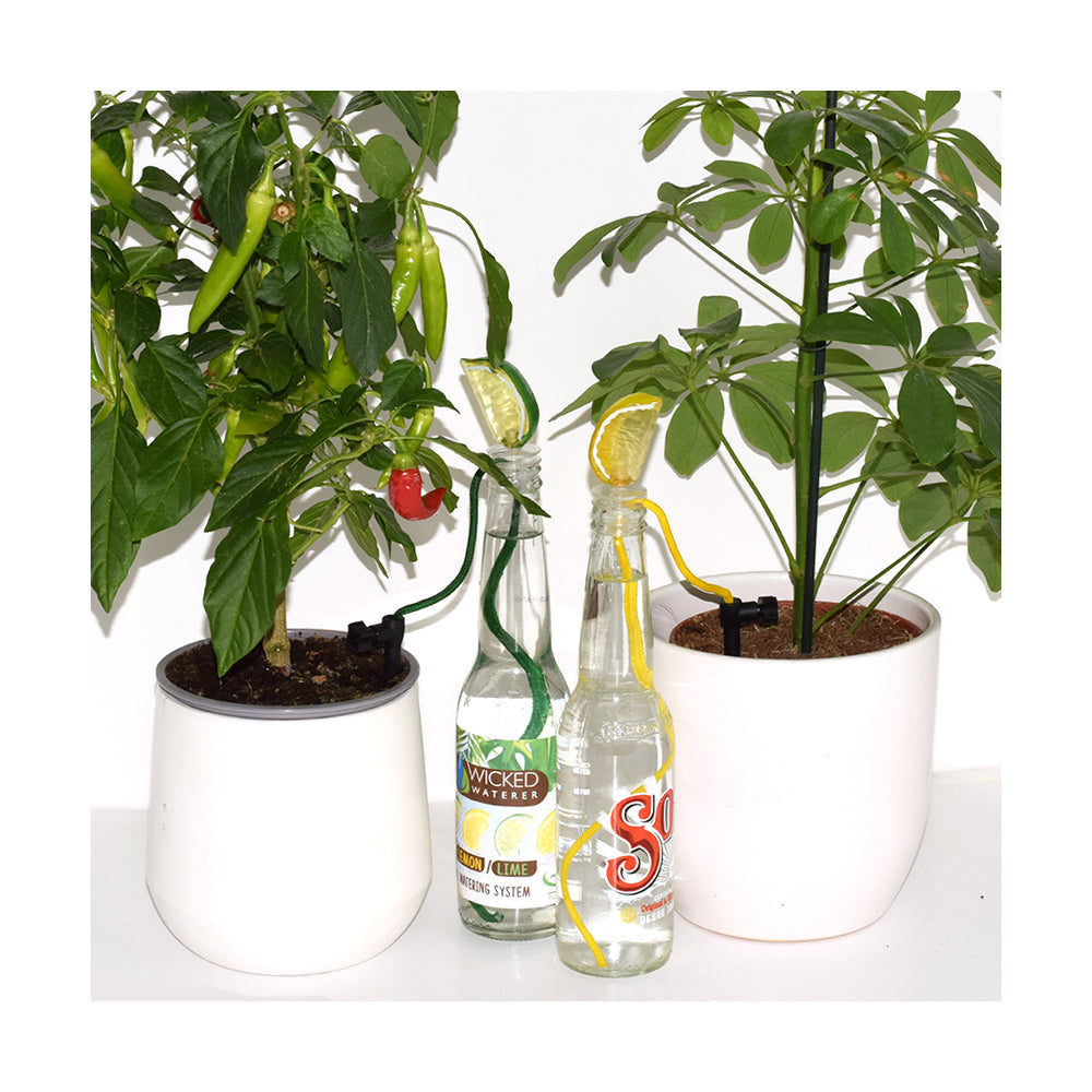 Mayhem Funtech UK Lemon/Lime Wicked Waterer Plant Watering System Adjustable — image 4