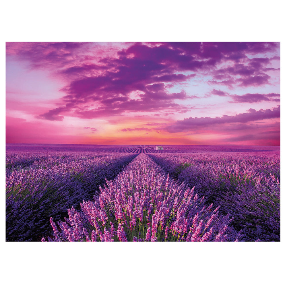 Clementoni High Quality Collection Lavender Field Puzzle (1000 Pieces) — image 2