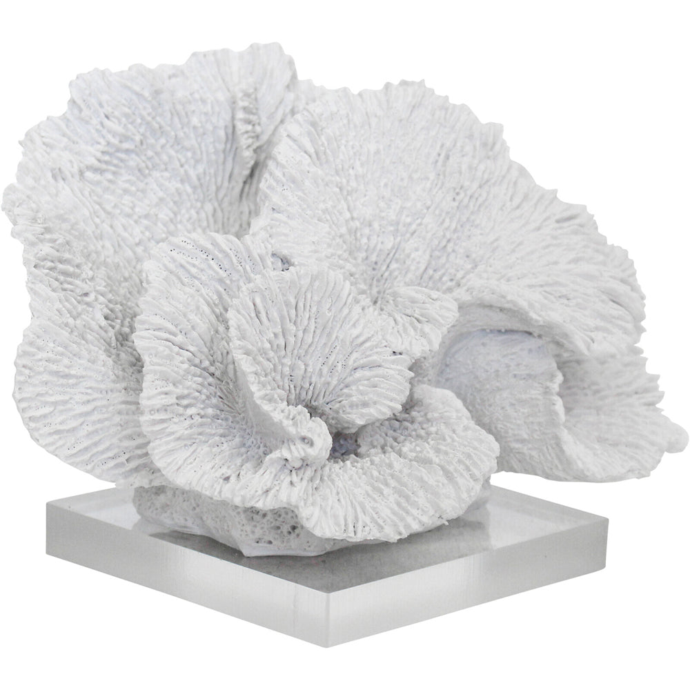 LVD Decorative Polyresin/Acrylic 21cm Fann Low Coral Decor Centrepiece Display White
