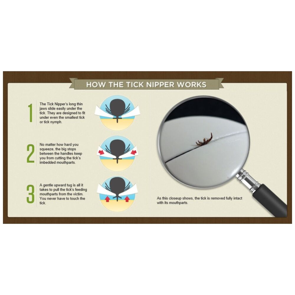 Amk Tick Nipper Remover Safe Easy Removal For People And Pets White (2 Pack) — image 4