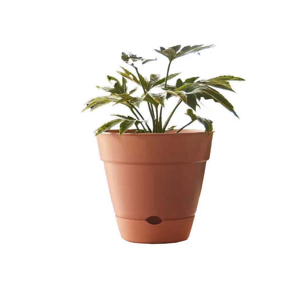 Northcote Pottery Leonard 31x27cm Self Watering Plant Pot Garden Decor Brick