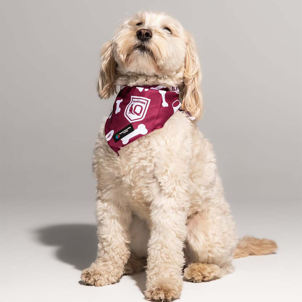 NRL St George Dragons Pet Bandana Dog 44cm Collar Triangle Scarf Accessory — image 2