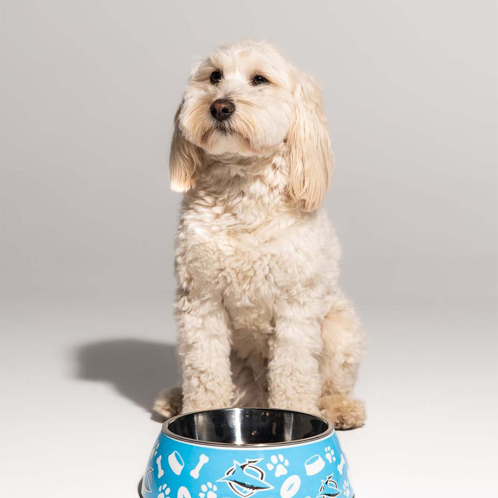 NRL Brisbane Broncos Pet Bowl Dog/Puppy 20cm Stainless Steel Food/Drink Feeder — image 2