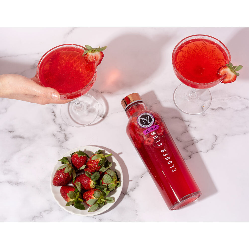 New York Cocktail Infusion Mixer Clover Club Bottle 108g Sieve Drinks/Beverage — image 3