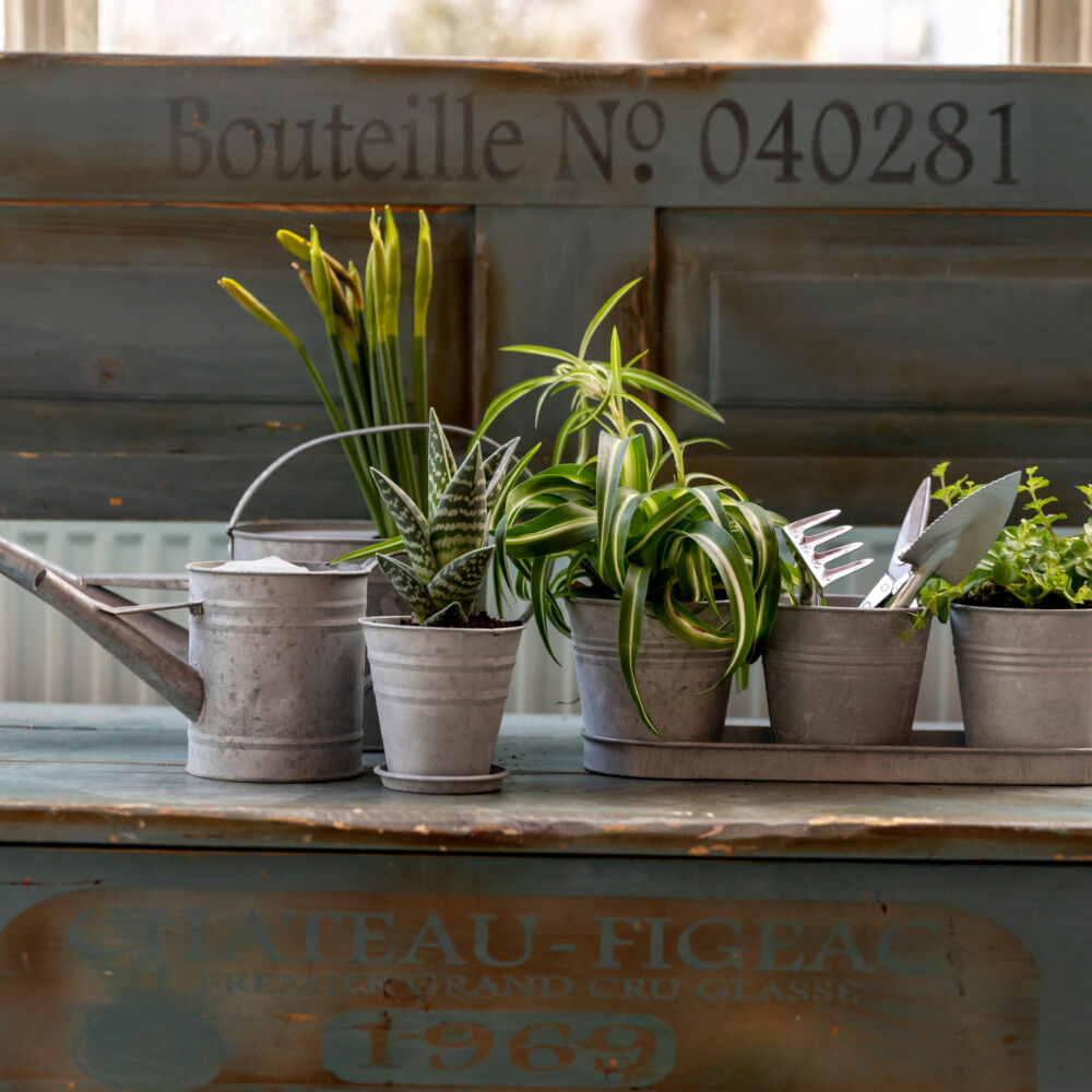 Esschert Design 32.8cm Grey Indoor/Garden Decor Aged Zinc Pot Set w/ Tray — image 2