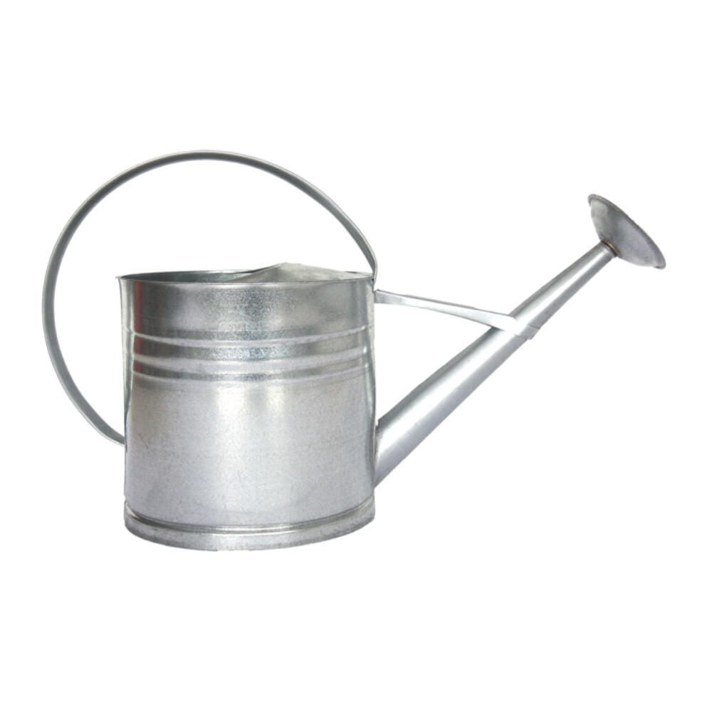 Esschert Design Zinc Metal Watering Can Garden Water Container Large 10L Silver