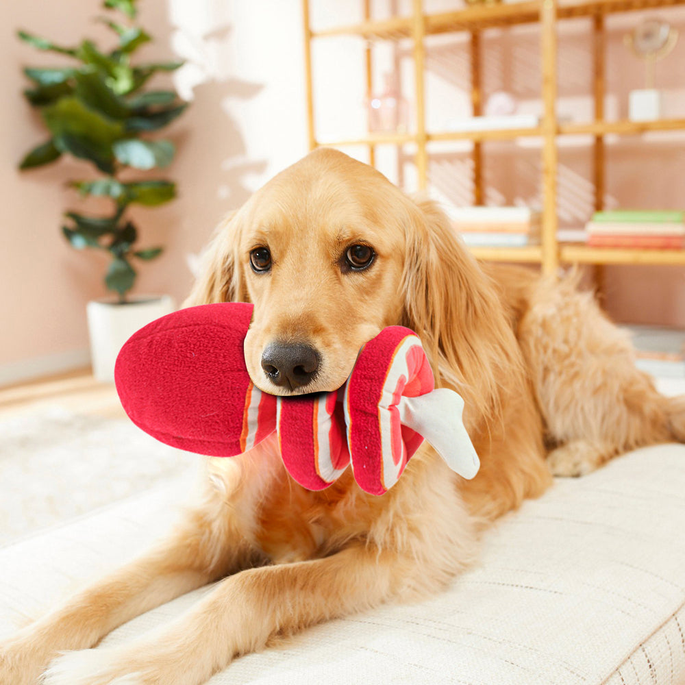 Pro Pet 23x12cm Meat Joint Plush w/ Squeaker Interactive Fun Play Dog Toy Red — image 2