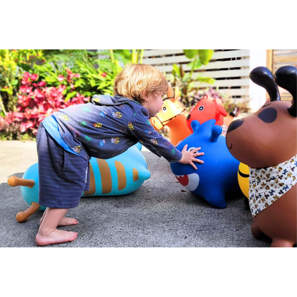 Kaper Kidz Bouncy Rider Pudding The Dog Kids/Children Ride On Bouncer Toy 12m+ — image 6