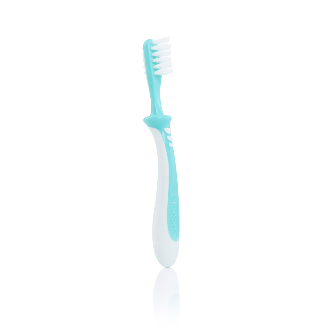 Pigeon Training Baby Toothbrush Step 3 Soft Bristle Safety Shield (2 Pack) — image 2