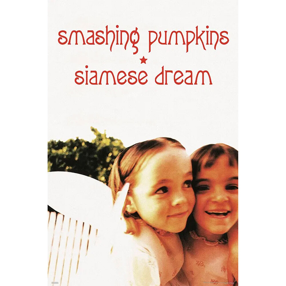 Music Smashing Pumpkins Siamese Dream Room Decoration Wall Art Poster 91.5x61cm