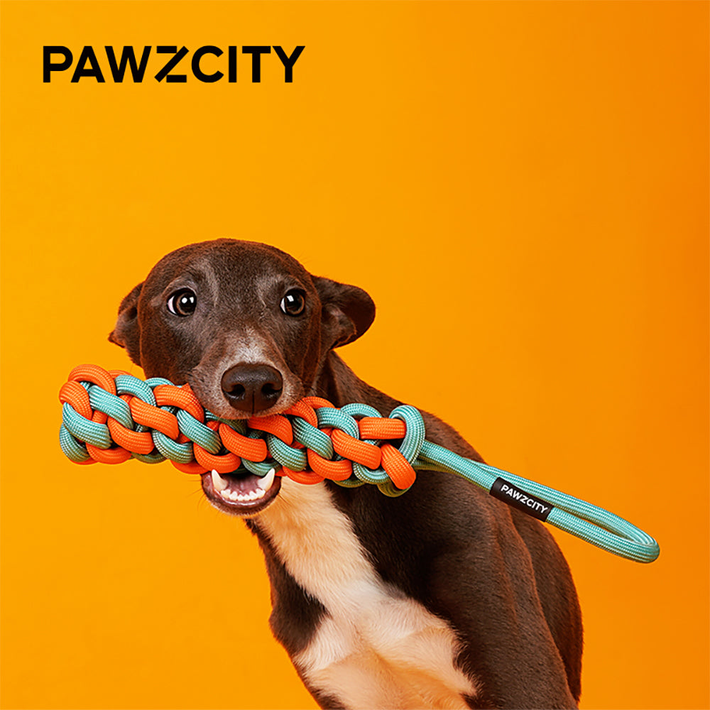 Pawzcity 30cm Interactive Rope Stick Dog/Pet Fun Play Chew Toy w/ Loop Rockmelon — image 2