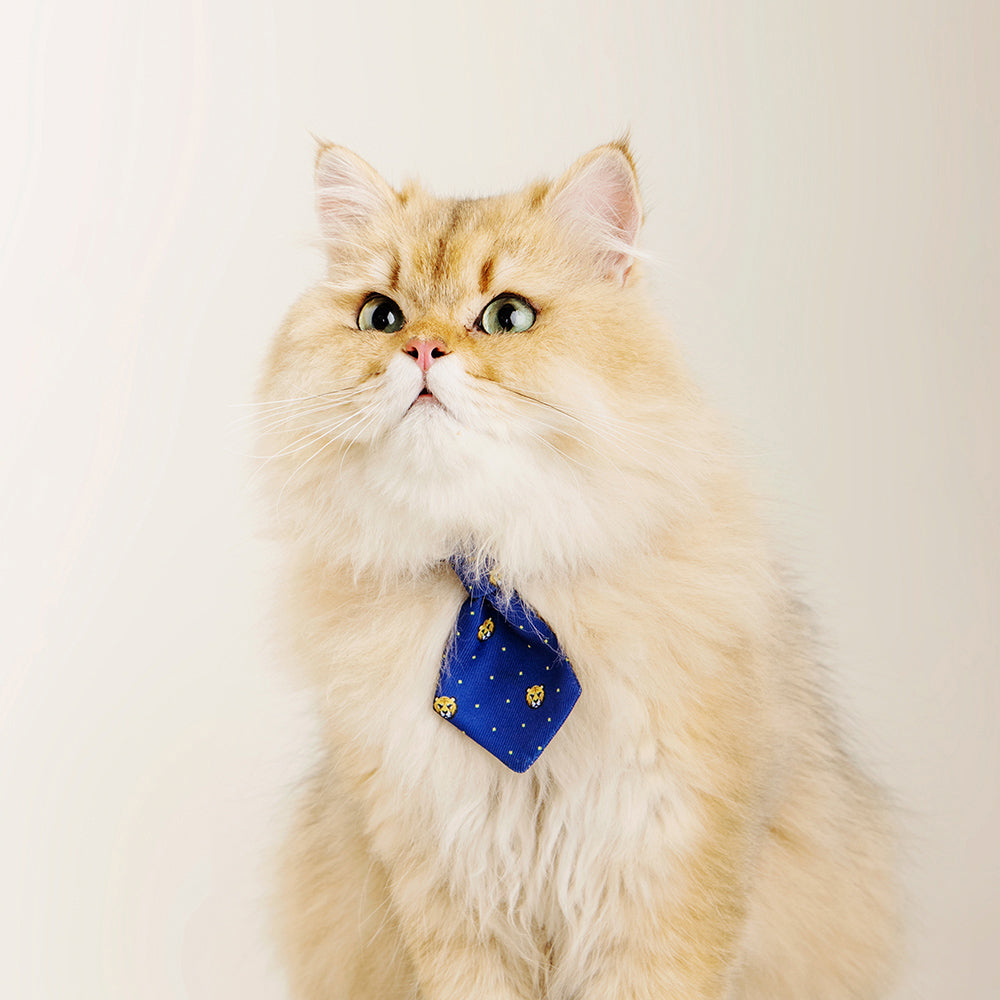 Pidan Adjustable 18-30cm Pet Cat/Kitten Necktie/Collar Accessory Blue Tigers (2 Pack) — image 4