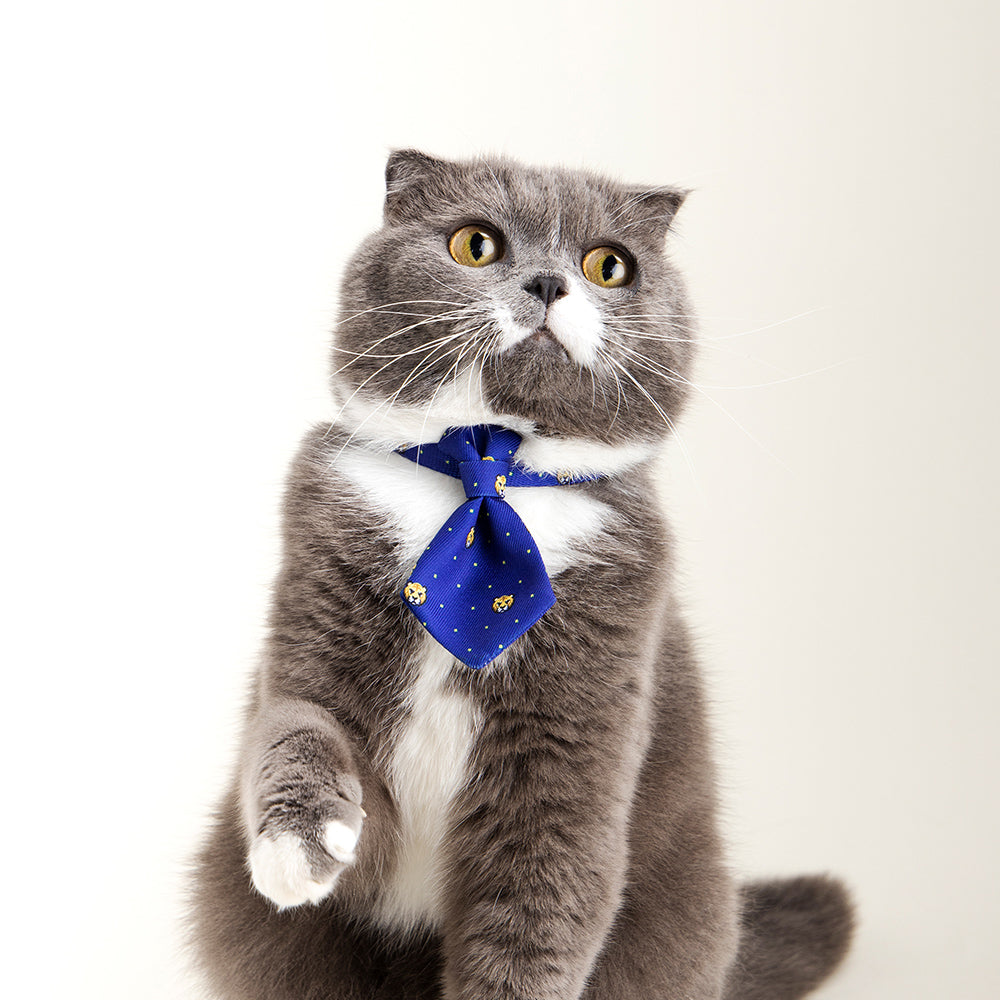 Pidan Adjustable 18-30cm Pet Cat/Kitten Necktie/Collar Accessory Blue Tigers — image 2