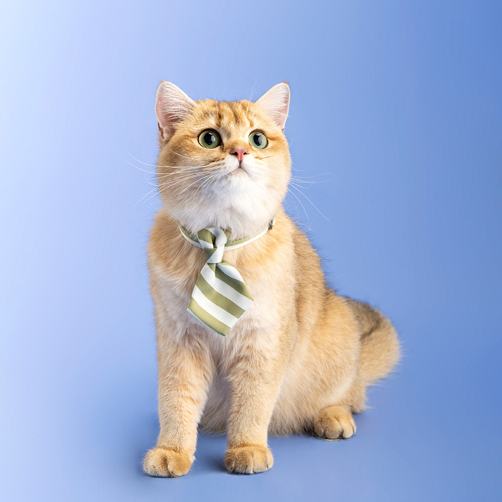 Pidan Adjustable 18-30cm Pet Cat/Kitten Necktie/Collar Accessory Green Stripe — image 2