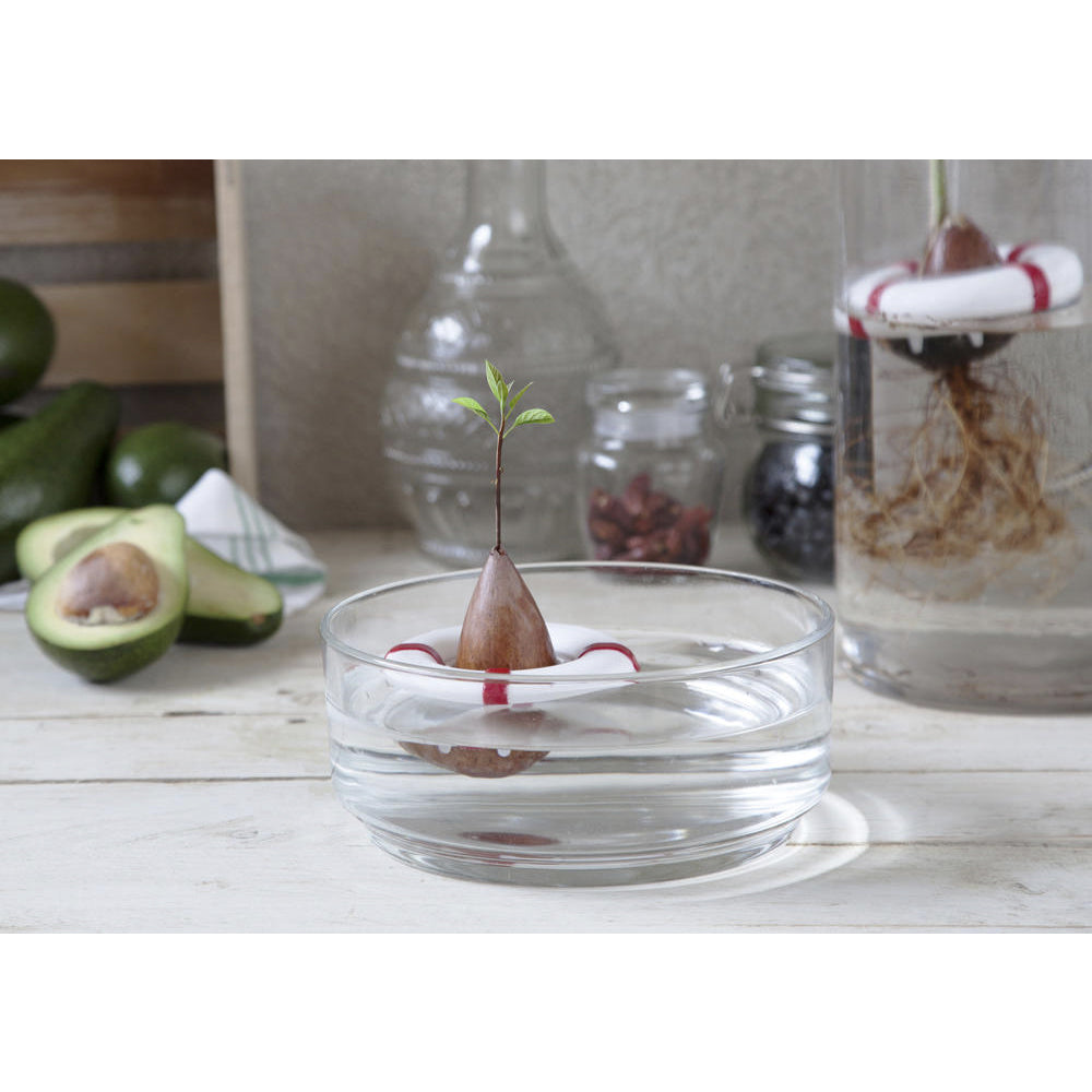 Peledesign Pelegdesign 9.5cm Seed Grower Guard Planter Buoy Plant Growing Device White — image 6