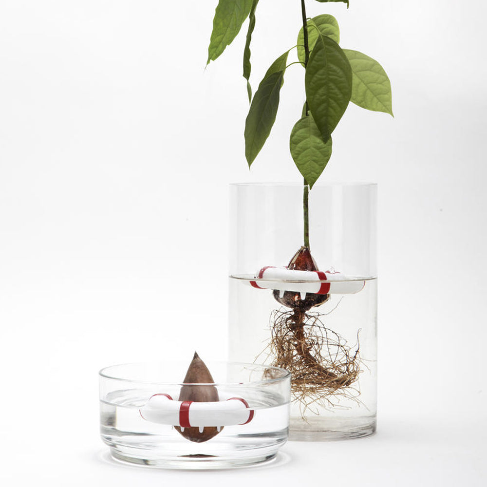 Peledesign Pelegdesign 9.5cm Seed Grower Guard Planter Buoy Plant Growing Device White — image 5
